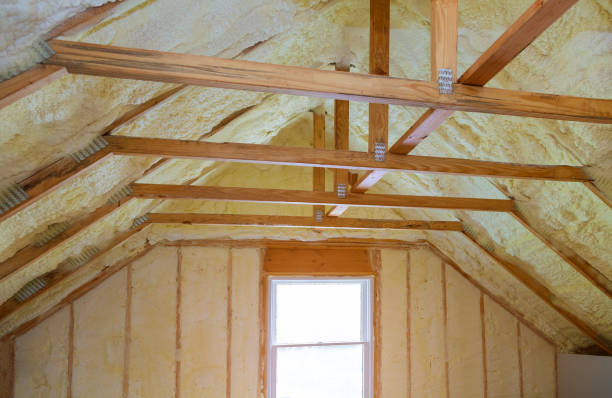 Best Eco-Friendly Insulation in Kent City, MI
