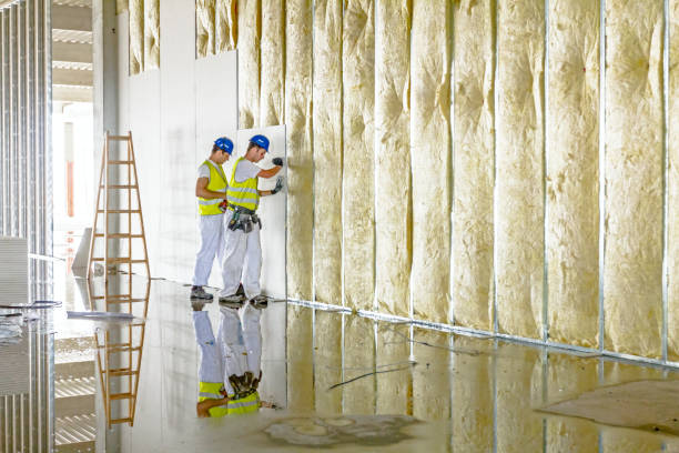 Best Geographic-Specific Insulation Services in Kent City, MI